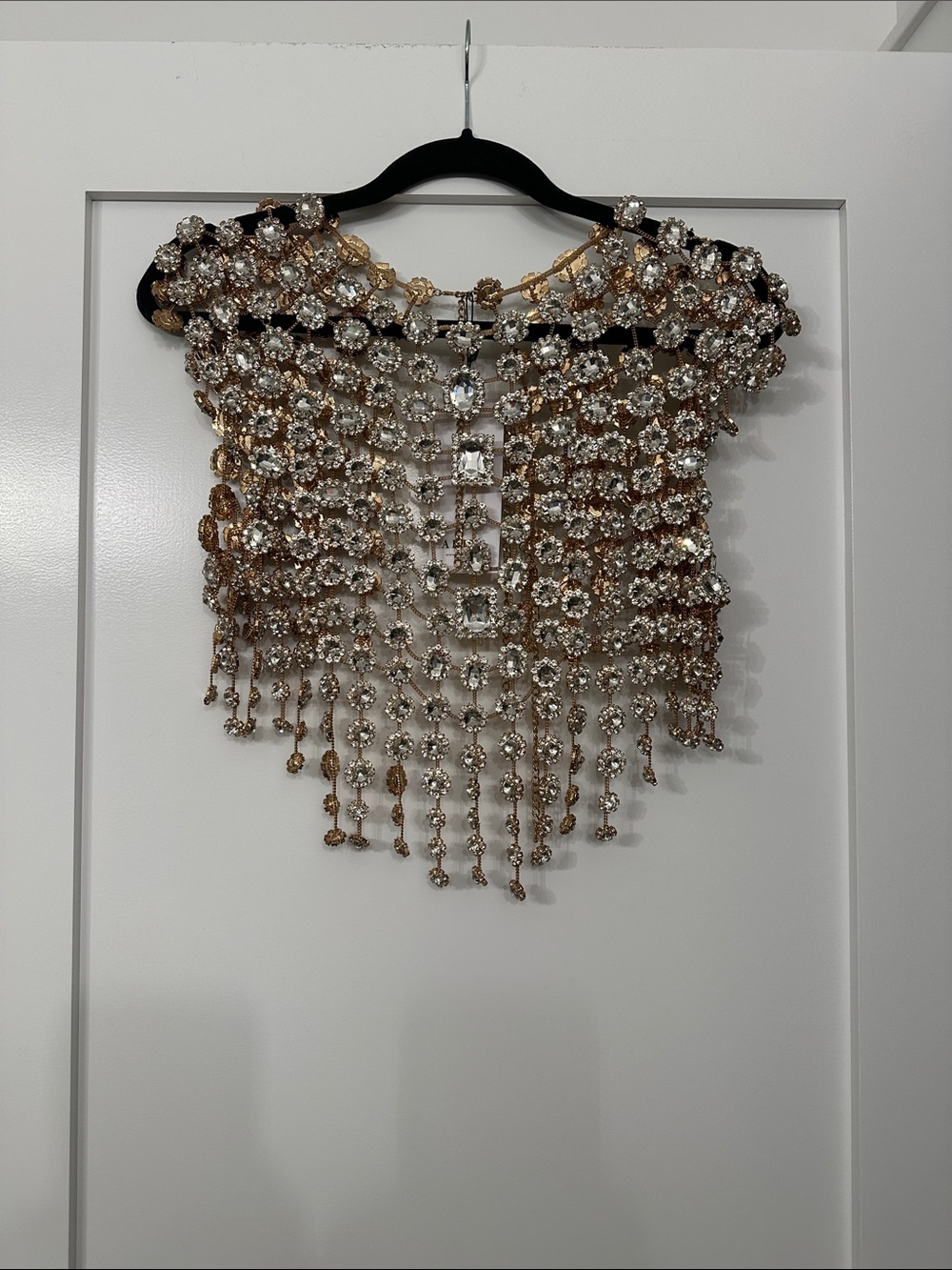 AKIRA Gold and Clear Rhinestone Fringe Crop Top